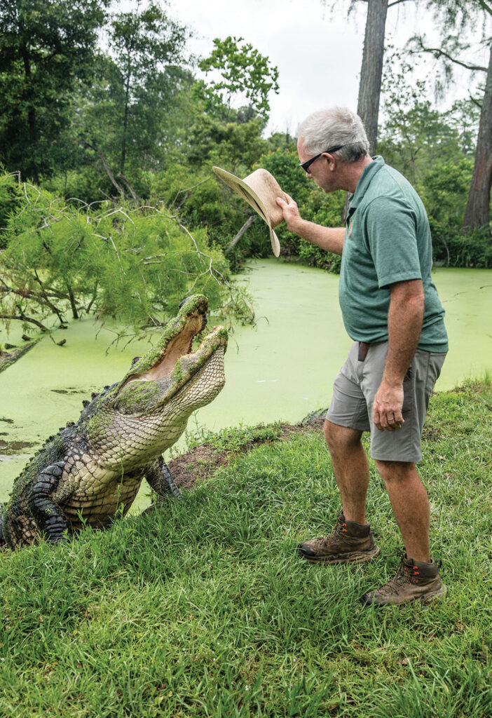 Man standing next to an alligator